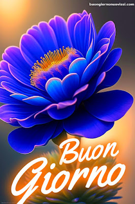 immagini di buongiorno immagini di buongiorno