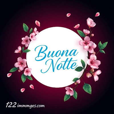 immagini buona notte immagini buona notte