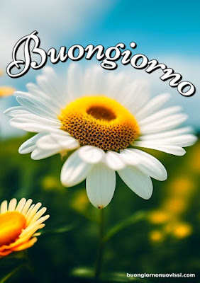 Le Ali Del Sorriso Buongiorno Immagini Nuove Gratis Whatsapp