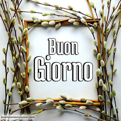 Le Ali Del Sorriso Buongiorno Immagini Nuove Gratis Whatsapp