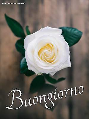 Le Ali Del Sorriso Buongiorno Immagini Nuove Gratis Whatsapp