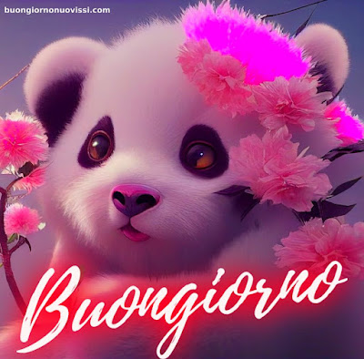 Le Ali Del Sorriso Buongiorno Immagini Nuove Gratis Whatsapp