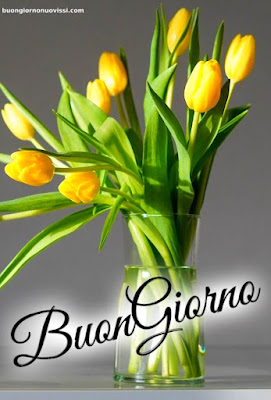 Le Ali Del Sorriso Buongiorno Immagini Nuove Gratis Whatsapp