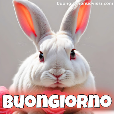 le ali del sorriso buongiorno immagini nuove gratis whatsapp