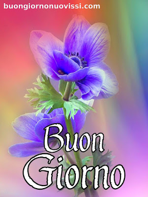 le ali del sorriso buongiorno immagini nuove gratis whatsapp