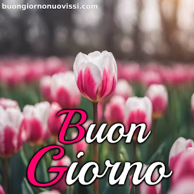 le ali del sorriso buongiorno immagini nuove gratis whatsapp