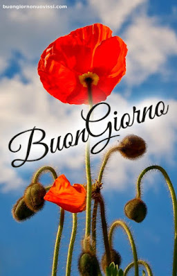 Le Ali Del Sorriso Buongiorno Immagini Nuove Gratis Whatsapp