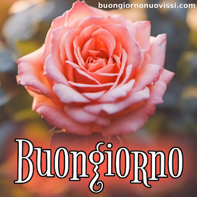 le ali del sorriso buongiorno immagini nuove gratis whatsapp