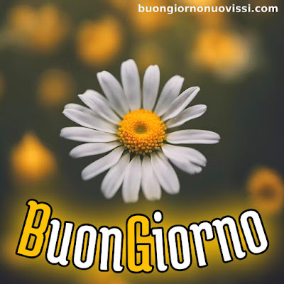le ali del sorriso buongiorno immagini nuove gratis whatsapp