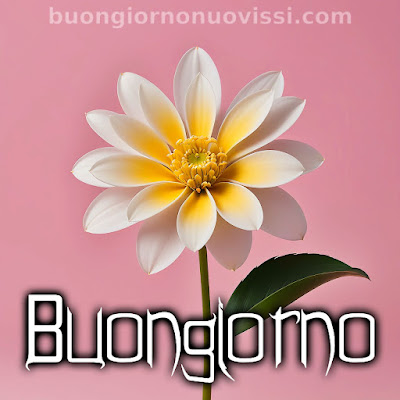 le ali del sorriso buongiorno immagini nuove gratis whatsapp