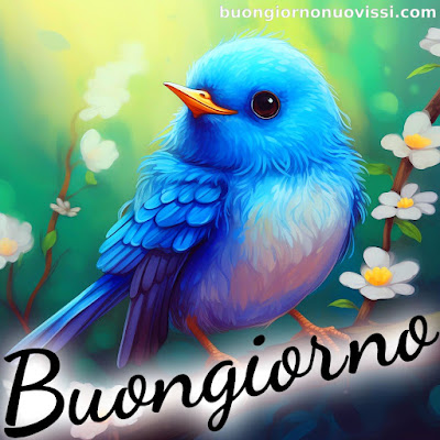le ali del sorriso buongiorno immagini nuove gratis whatsapp