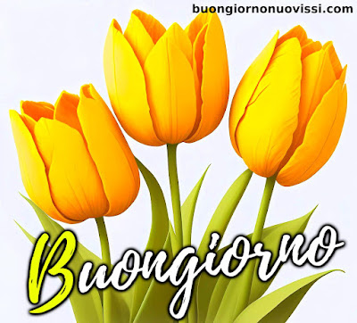 le ali del sorriso buongiorno immagini nuove gratis whatsapp