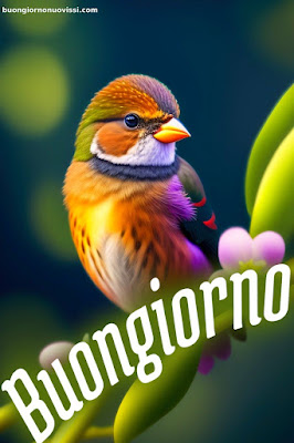 Le Ali Del Sorriso Buongiorno Immagini Nuove Gratis Whatsapp