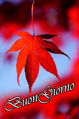 le ali del sorriso buongiorno immagini nuove gratis whatsapp le ali del sorriso buongiorno immagini nuove gratis whatsapp