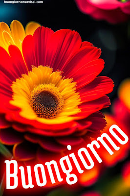 Le Ali Del Sorriso Buongiorno Immagini Nuove Gratis Whatsapp