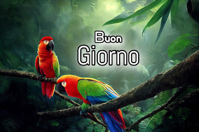 le ali del sorriso buongiorno immagini nuove gratis whatsapp le ali del sorriso buongiorno immagini nuove gratis whatsapp