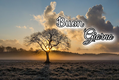 le ali del sorriso buongiorno immagini nuove gratis whatsapp le ali del sorriso buongiorno immagini nuove gratis whatsapp