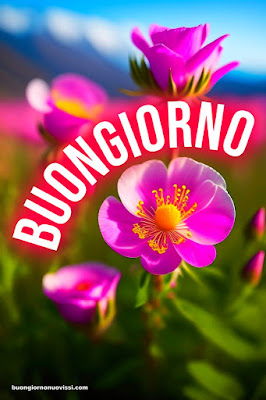 Le Ali Del Sorriso Buongiorno Immagini Nuove Gratis Whatsapp