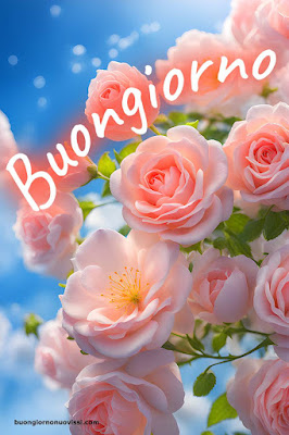 Le Ali Del Sorriso Buongiorno Immagini Nuove Gratis Whatsapp