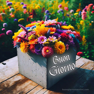 le ali del sorriso buongiorno