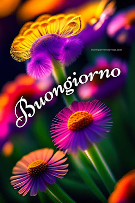 le ali del sorriso buongiorno