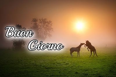 le fate del sole buon giorno caro immagini nuove gratis per whatsapp