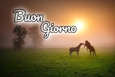 le fate del sole buon giorno caro immagini nuove gratis per whatsapp