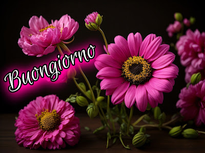 le fate del sole buon giorno caro immagini nuove gratis per whatsapp