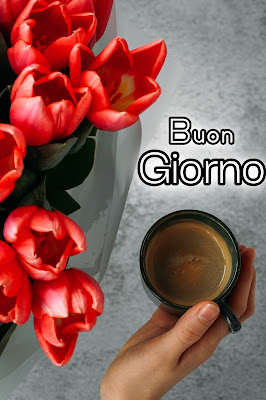 le fate del sole buon giorno caro immagini nuove gratis per whatsapp