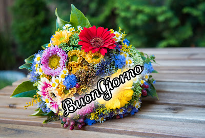 le fate del sole buon giorno caro immagini nuove gratis per whatsapp