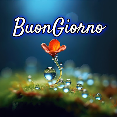 le fate del sole buon giorno caro immagini nuove gratis per whatsapp