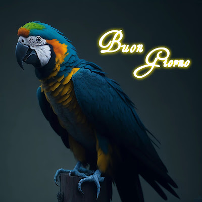 le fate del sole buon giorno caro immagini nuove gratis per whatsapp