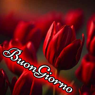 le fate del sole buon giorno caro immagini nuove gratis per whatsapp