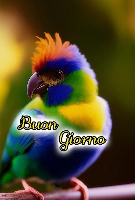 le fate del sole buon giorno caro immagini nuove gratis per whatsapp