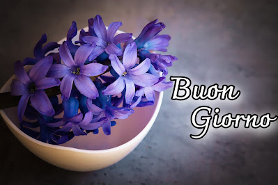 le fate del sole buon giorno caro immagini nuove gratis per whatsapp