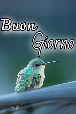 le fate del sole buon giorno caro immagini nuove gratis per whatsapp