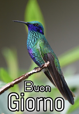 le fate del sole buon giorno caro immagini nuove gratis per whatsapp