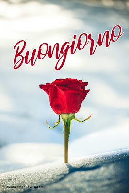 Mozzafiato Significativo Nuovissimo Buongiorno Immagini Recenti Mozzafiato Significativo Nuovissimo Buongiorno Immagini Recenti