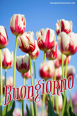 Mozzafiato Significativo Nuovissimo Buongiorno Immagini Recenti Mozzafiato Significativo Nuovissimo Buongiorno Immagini Recenti