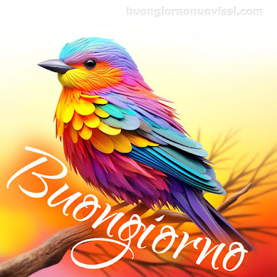mozzafiato significativo nuovissimo buongiorno immagini recenti