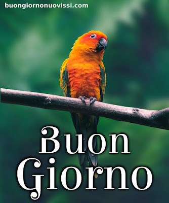 mozzafiato significativo nuovissimo buongiorno immagini recenti