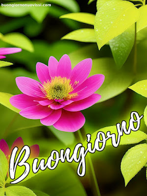 Mozzafiato Significativo Nuovissimo Buongiorno Immagini Recenti Mozzafiato Significativo Nuovissimo Buongiorno Immagini Recenti