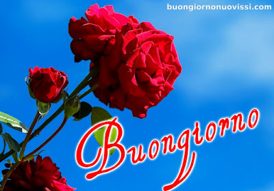 mozzafiato significativo nuovissimo buongiorno immagini recenti