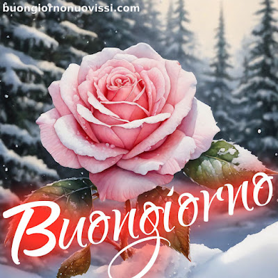 mozzafiato significativo nuovissimo buongiorno immagini recenti