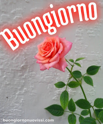mozzafiato significativo nuovissimo buongiorno immagini recenti