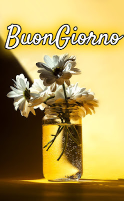 mozzafiato significativo nuovissimo buongiorno immagini recenti