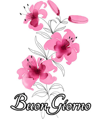 mozzafiato significativo nuovissimo buongiorno immagini recenti