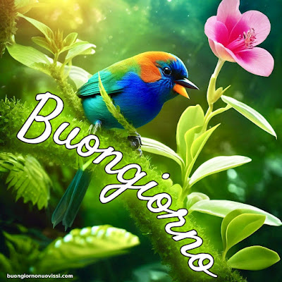 Mozzafiato Significativo Nuovissimo Buongiorno Immagini Recenti Mozzafiato Significativo Nuovissimo Buongiorno Immagini Recenti