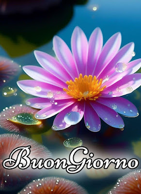 mozzafiato significativo nuovissimo buongiorno immagini recenti