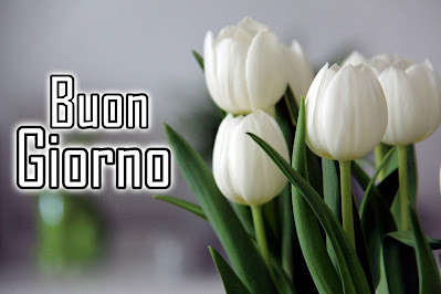 mozzafiato significativo nuovissimo buongiorno immagini recenti